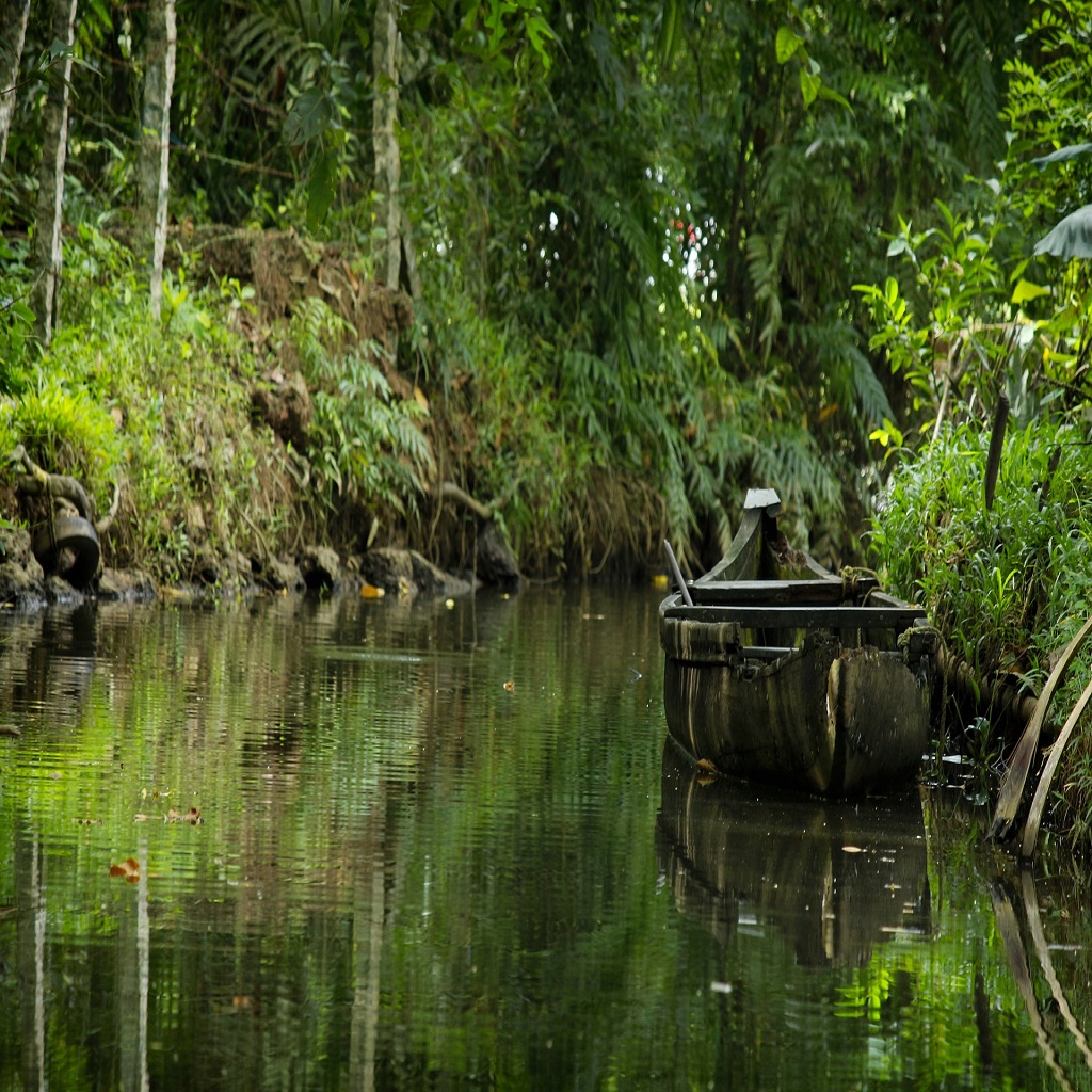 Exclusive Jeep Safari at Kanha and Bandhavgarh National park